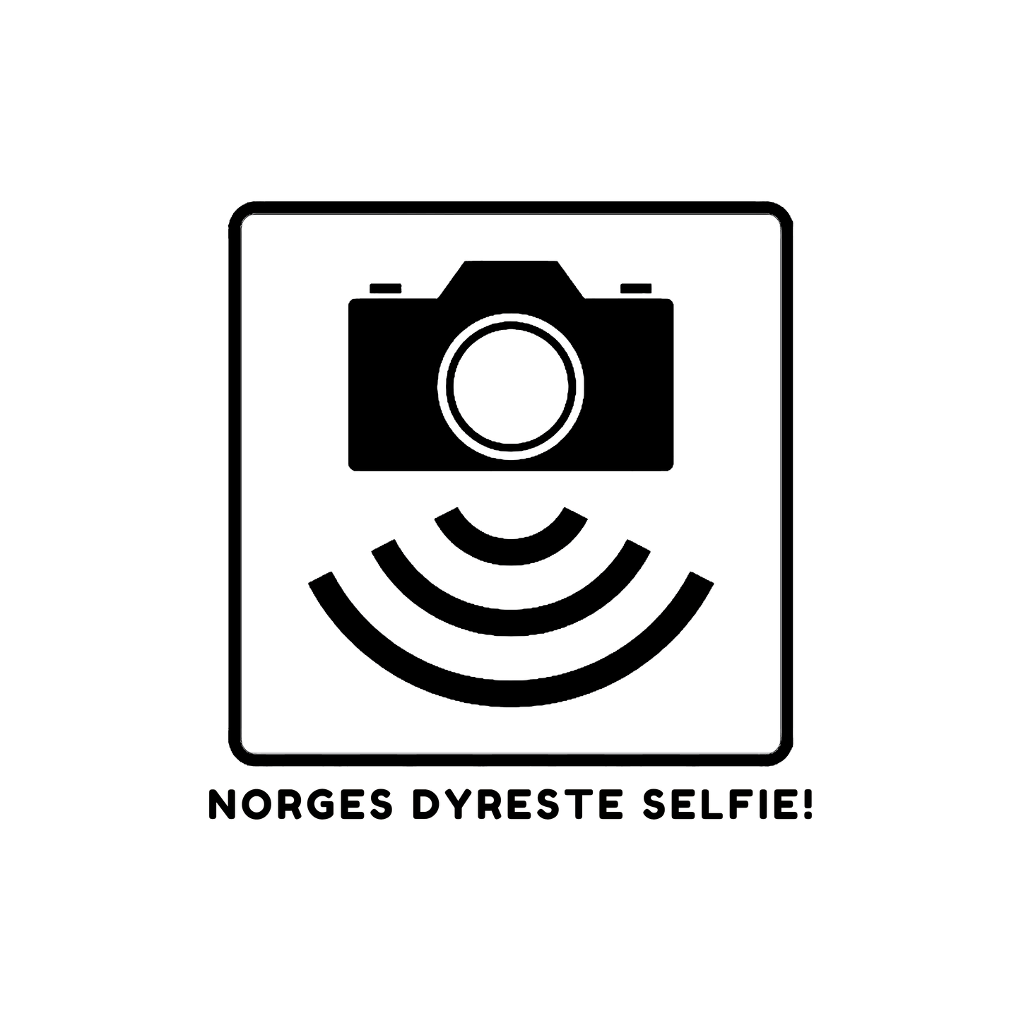Norges dyreste selfie