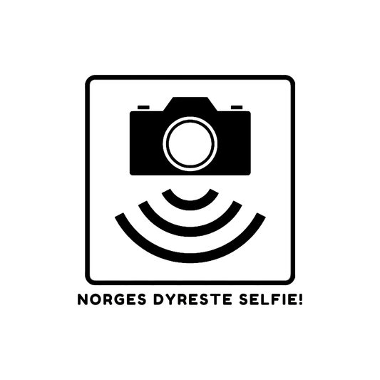 Norges dyreste selfie